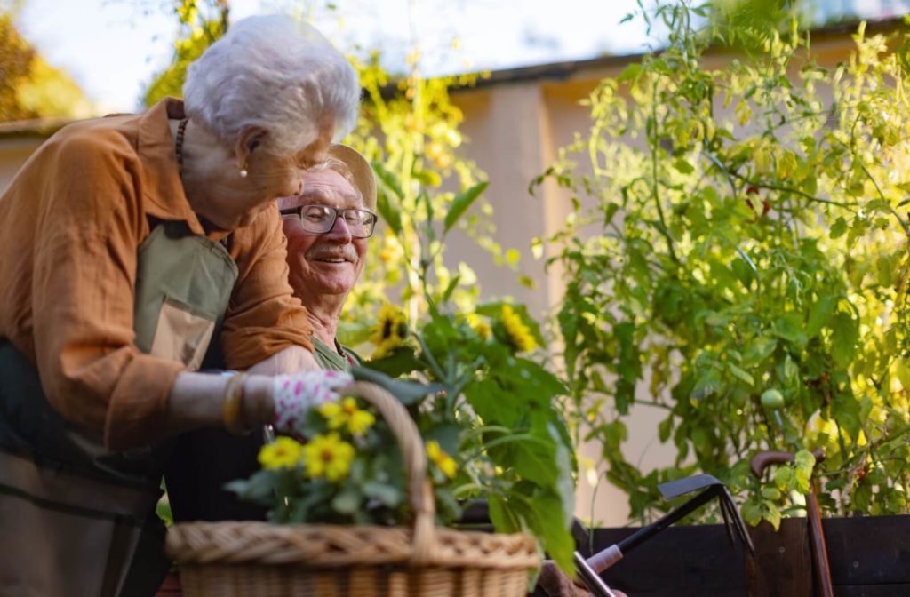 A senior couple happily gardens together in an assisted living community.